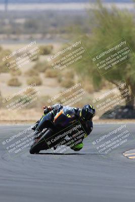 media/May-14-2023-SoCal Trackdays (Sun) [[024eb53b40]]/Turn 5 Tree of Life (1125am)/